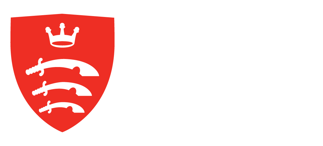 MDX Logo